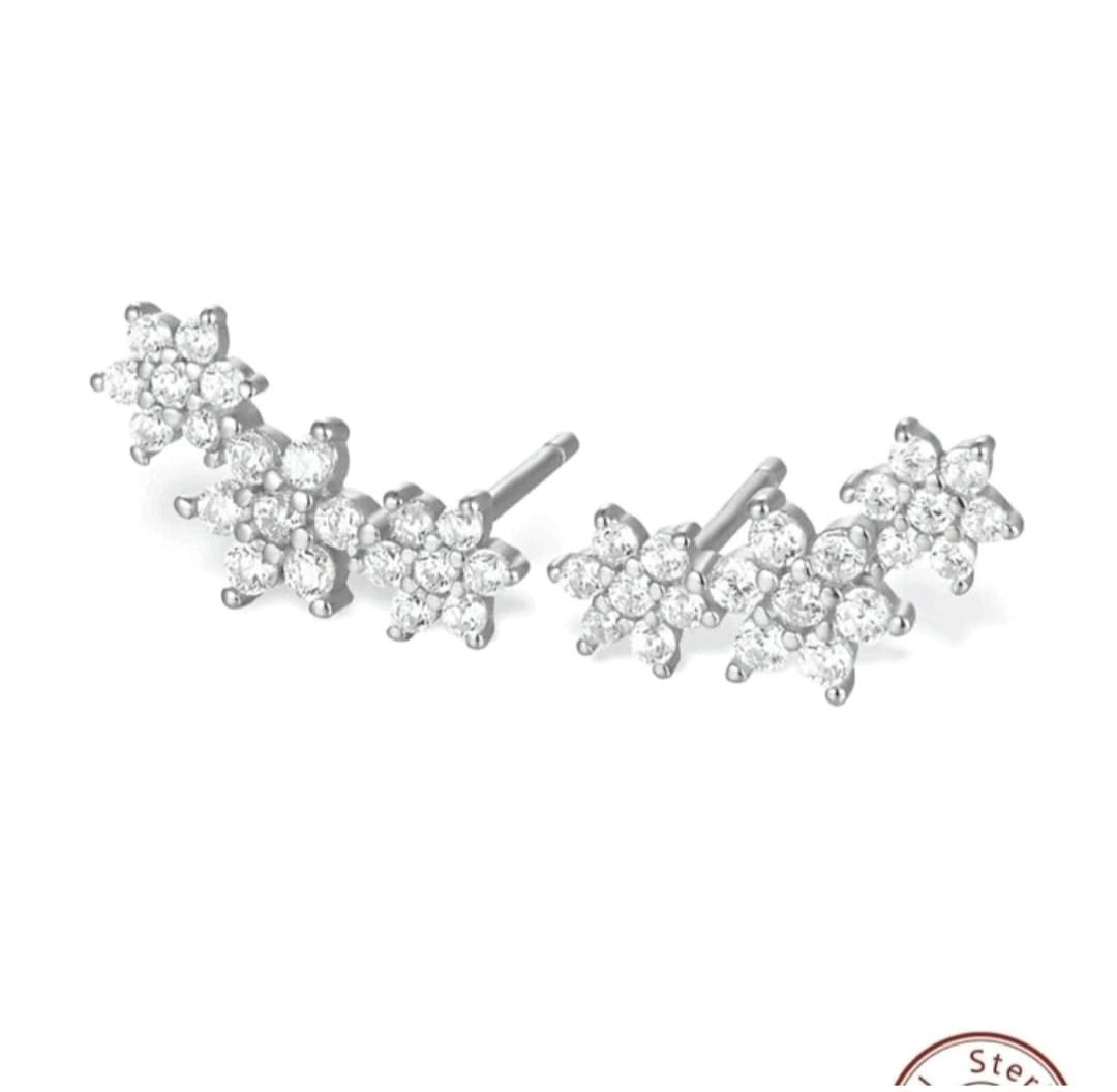Sterling silver 925 earrings