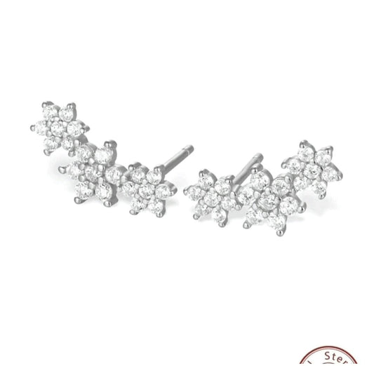 Sterling silver 925 earrings