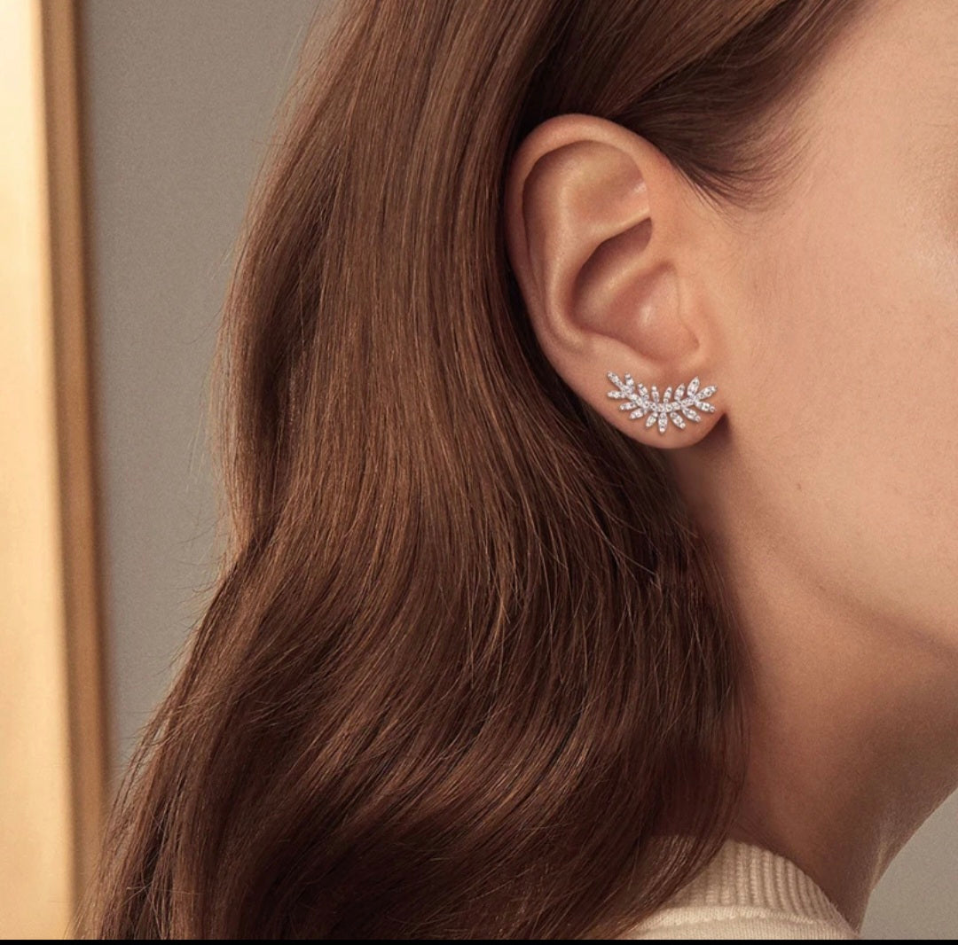 Sterling silver 925 earrings